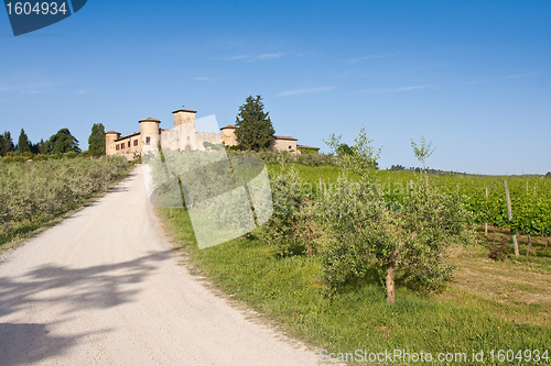 Image of Typical Tuscan landscape