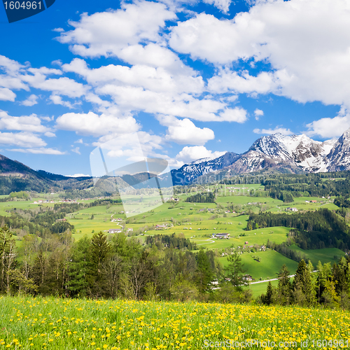 Image of alpine landscape