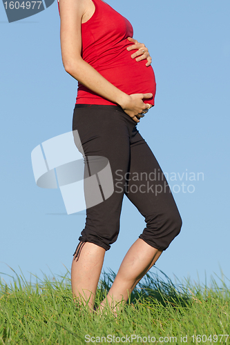 Image of pregnant woman on meadow