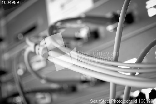 Image of network cables