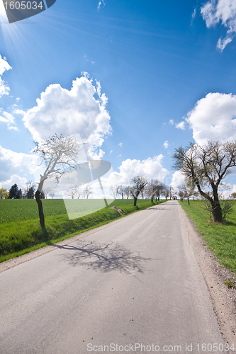 Image of green field