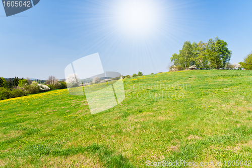 Image of grassland in the springtime