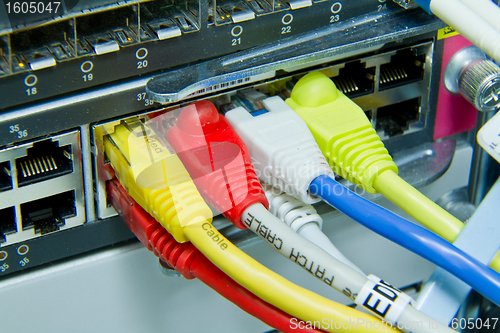Image of ethernet cables