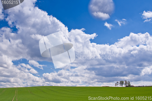 Image of green field