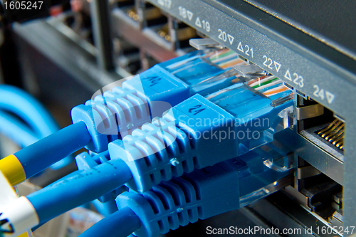 Image of network cables