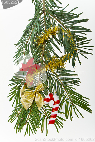 Image of Christmas branch 