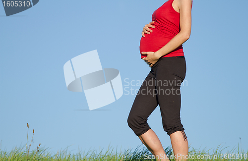 Image of pregnant woman on meadow