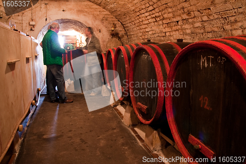 Image of wine barrels