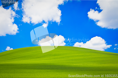 Image of green field