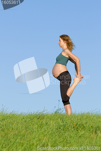 Image of pregnant woman on meadow