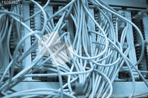 Image of ethernet cables