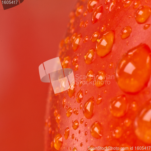 Image of tomato closeup