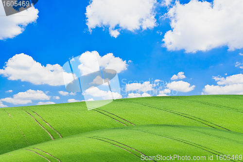 Image of green field