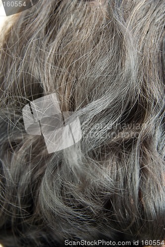 Image of Woman grey hair