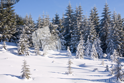 Image of fresh snow in the mountains