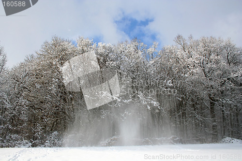 Image of Snow-covered