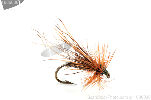 Image of dry Fly