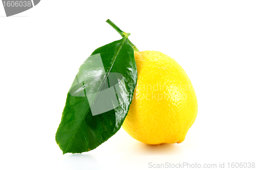 Image of lemon with green leaf
