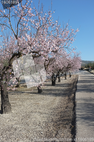 Image of Spring road