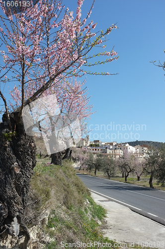 Image of Costa Blanca village