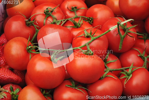 Image of Tomatoes