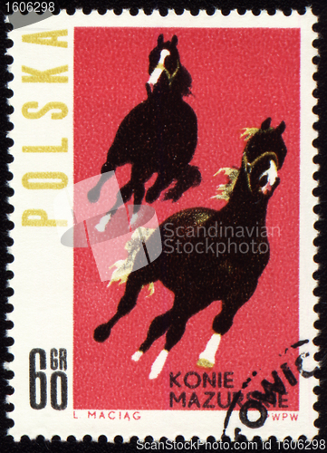 Image of Horses Mazurskie on post stamp