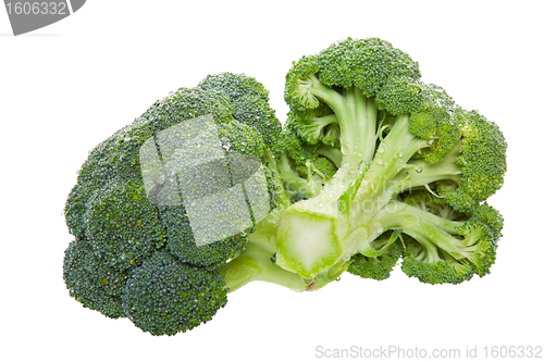 Image of Broccoli Florets