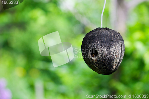 Image of Natural Birdhouse