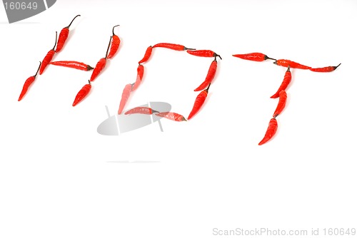 Image of The word "Hot" spelled out in red Thai peppers