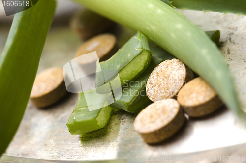 Image of aloe vera plant with pills - herbal medicine