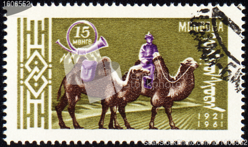 Image of Cameleer with two camels on post stamp