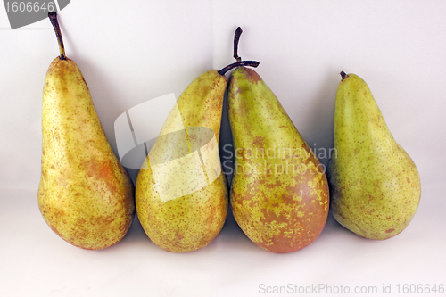 Image of Four Pears