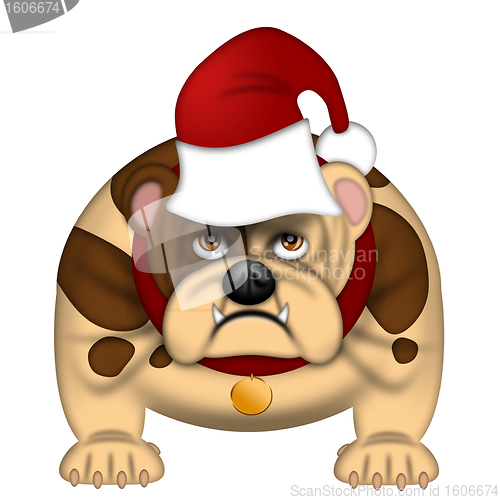 Image of English Bull Dog with Santa Hat Isolated on White