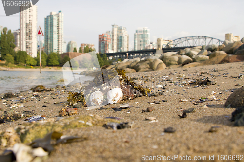 Image of Low Tide at Vanier Park Beach in Vancouver BC