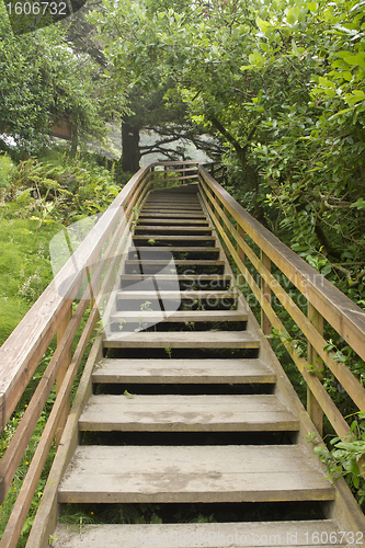 Image of Wooden Stairs at Hiking Trail Vertical