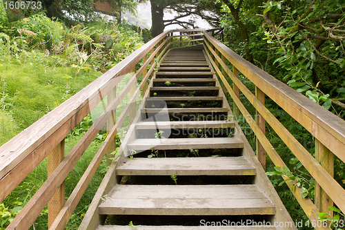 Image of Wooden Stairs at Hiking Trail