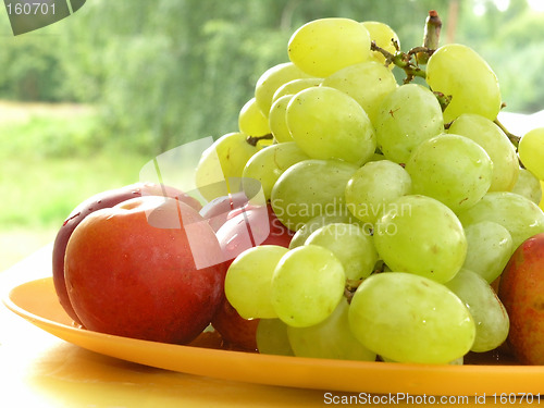 Image of fresh fruits