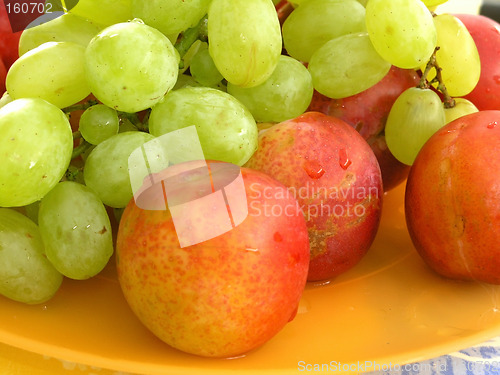 Image of fresh fruits