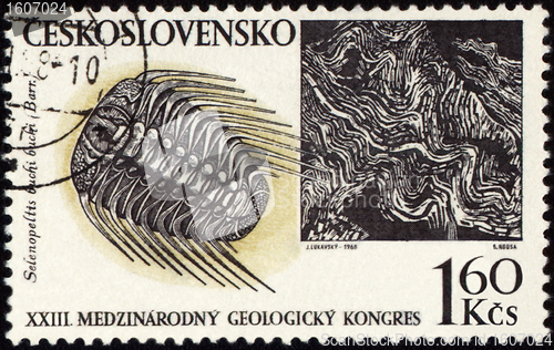 Image of Mountains and fossil on post stamp