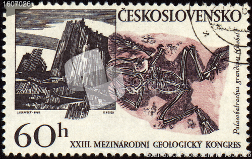 Image of Mountains and fossil on post stamp