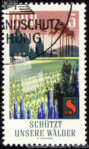 Image of Post stamp devoted to forest protection