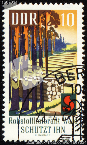 Image of Post stamp devoted to forest protection