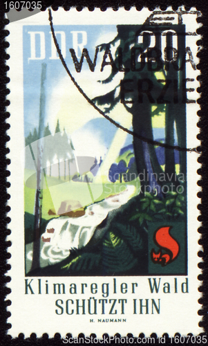 Image of Post stamp devoted to forest protection