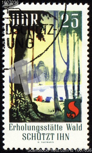 Image of Post stamp devoted to forest protection