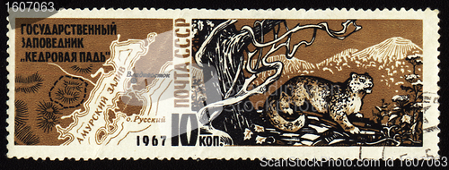 Image of Cedar Pad reserve in USSR on post stamp
