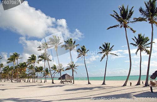 Image of large beach