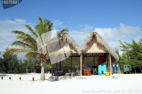 Image of beach water sport