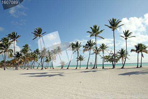Image of large beach