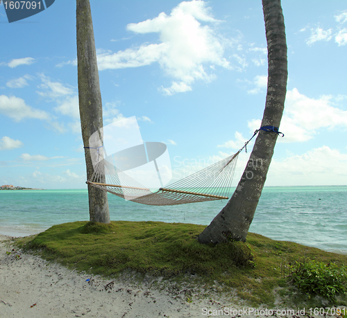 Image of beach hammock