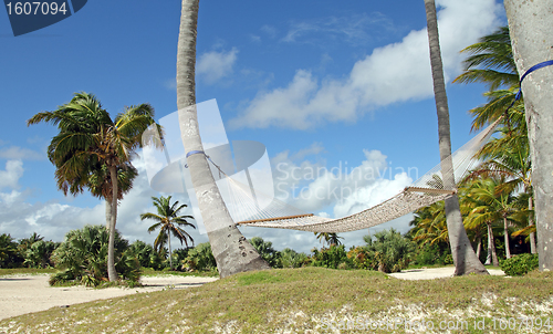 Image of  hammock on the beach